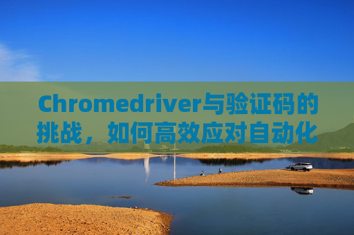 Chromedriver与验证码的挑战，如何高效应对自动化测试中的难题